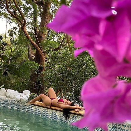 Etnia Lodge Minca Luaran gambar
